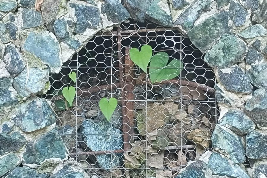 יומן מסע: אל דמנהור האהובה, יוני 2024, היום הראשון