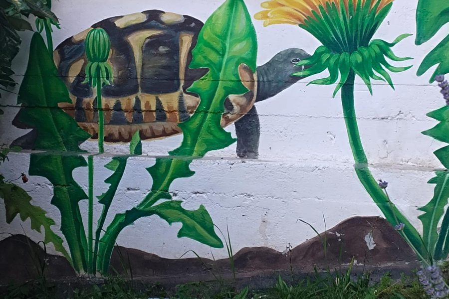 יומן מסע אל דמנהור האהובה, יוני 2024, היום האחרון