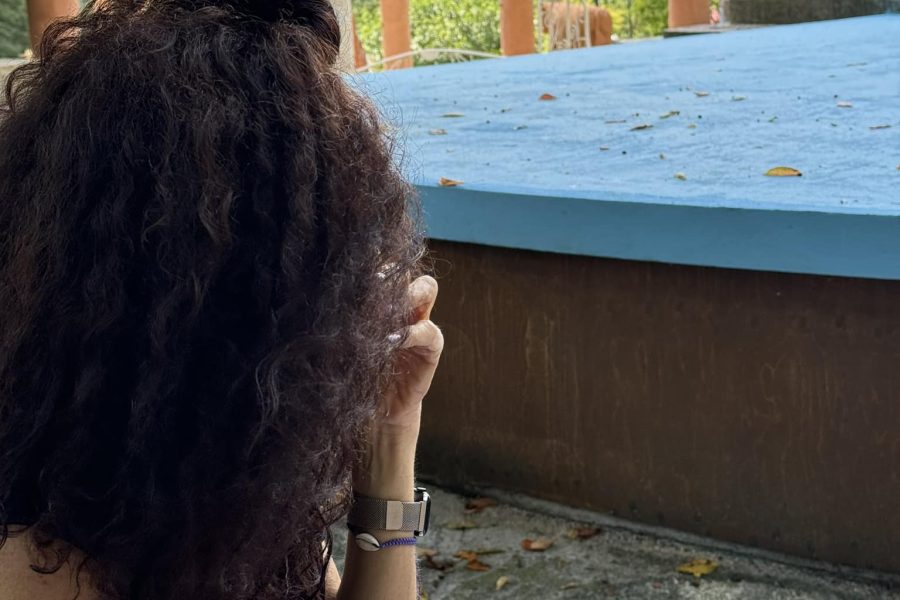 קסם דמנהור: סיכום מסע, יוני 2024