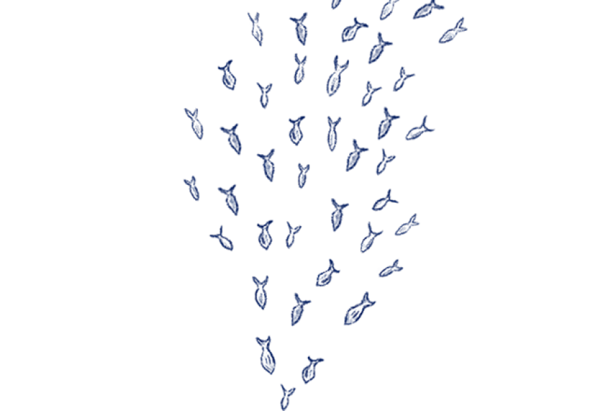 קורס המשך 'פרויקט אישי' עם הילה