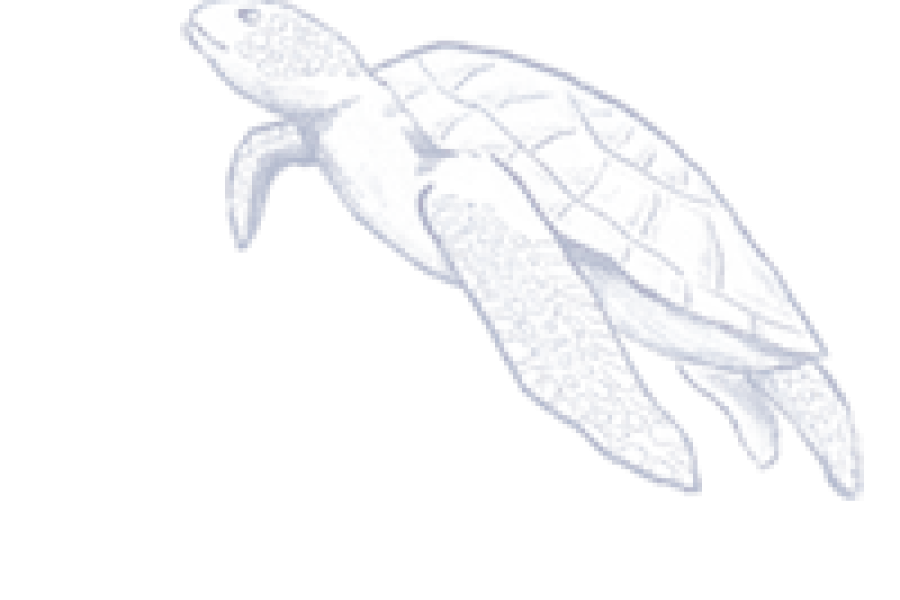 קורס חיבור לתקשור / במרכז